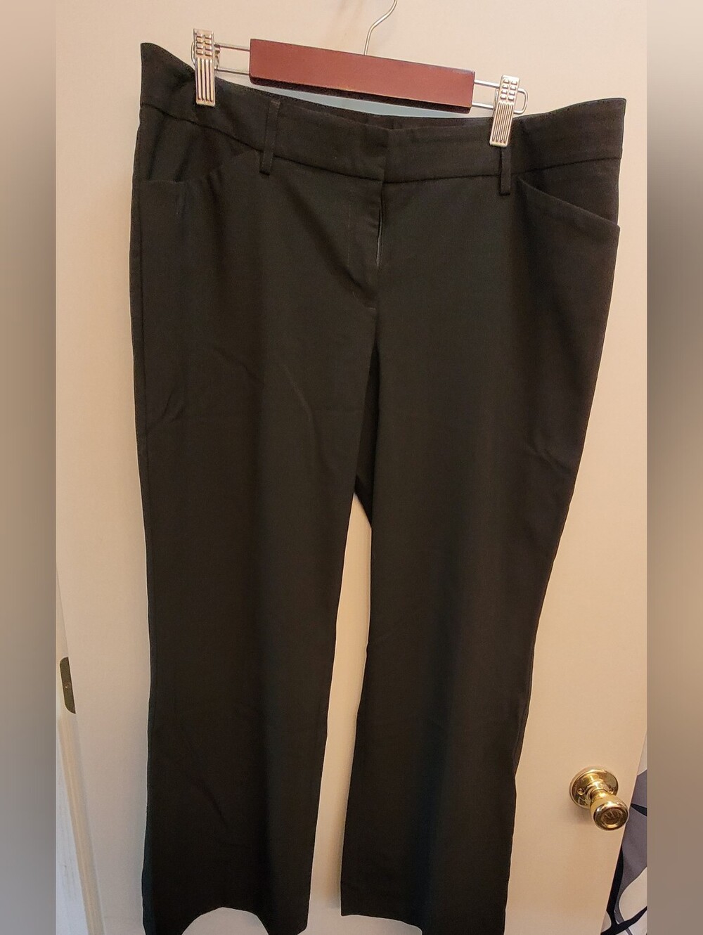 Express Editor Dress Pants, Lightweight